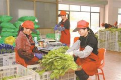 <b>厦门朴朴公共事务总监陈毅蓉告</b>